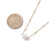 Round Natural Cultured Freshwater Pearl Pendant Necklaces NJEW-JN04966-3