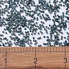 MIYUKI Delica Beads X-SEED-J020-DB1006-4