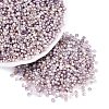 Picasso Glass Seed Beads SEED-Q041-02I-1