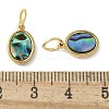 304 Stainless Steel Natural Paua Shell/White Shell Charms Ion Plating(IP) STAS-U037-03G-01-3