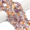 Natural Ametrine Beads Strands G-L634-G01-02-1