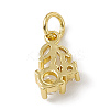 Brass Micro Pave Cubic Zirconia Charms ZIRC-F132-05G-2