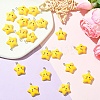 20Pcs Opaque Resin Pendants RESI-YW0005-08-4