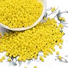 Glass Seed Beads SEED-A010-3mm-42-1