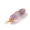 Natural Amethyst Double Terminated Pointed Pendants G-TAC0010-04G-02-2