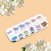 1 Set 12 Grid Nuggets Abalone Shell Nail Art Sequins for Woman Girls MRMJ-SP0001-07-6