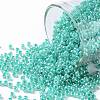 TOHO Round Seed Beads X-SEED-TR11-0920-1