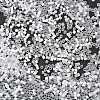 Imitation Cat Eyes Glass Seed Beads X-SEED-H003-03J-4