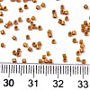 FGB 11/0 Grade A Baking Paint Glass Seed Beads X-SEED-S030-1030-4