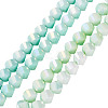 2 Strands 2 Colors Anti-Tarnish Electroplate Glass Beads Strands GLAA-TA0003-67-3