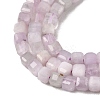 Natural Kunzite Beads Strands G-A293-A01-01-4