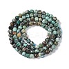 Natural African Turquoise(Jasper) Beads Strands LS-G-N342-29B-3