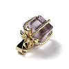 Natural Amethyst Gift Box Charms G-P523-01G-05-2