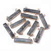 Natural Labradorite Charms G-S359-012B-1