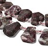Natural Plum Blossom Tourmaline Beads Strands G-H078-A01-01-3