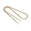 Metal Handbag Snake Chain Straps PW-WGE1AA0-01-1