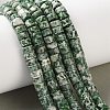 Natural Green Spot Jasper Beads Strands G-M420-A18-01-1