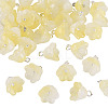 38Pcs Glass Charms GLAA-TADJ0001-19B-2