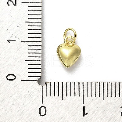 925 Sterling Silver Pendants STER-P057-07B-G-1