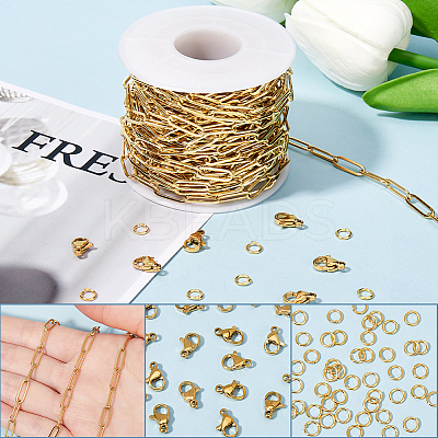 10M Ion Plating(IP) 304 Stainless Steel Paperclip Chains wih 50Pcs Open Jump Rings with 20Pcs  Lobster Claw Clasps FIND-SC0012-55-1
