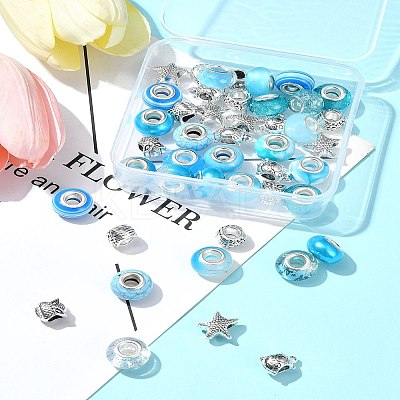 DIY Tibetan Style Alloy & Resin European Beads Making Finding Kits DIY-FS0006-78F-1