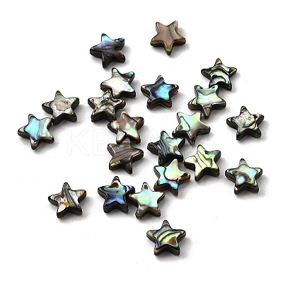 Natural Abalone Shell/Paua Shell Beads SHEL-B003-12-1