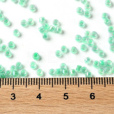 Glass Seed Beads SEED-S042-13A-11-1