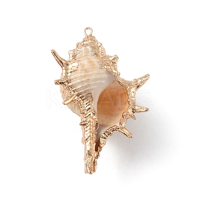 Electroplate Spiral Shell Big Pendants BSHE-C004-06G-1