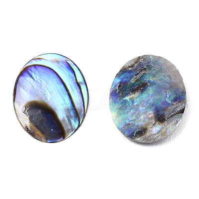 Natural Abalone Shell/Paua Shell Cabochons SSHEL-N034-118-1