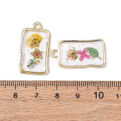 Transparent Resin Pendants RESI-A050-10A-G-1