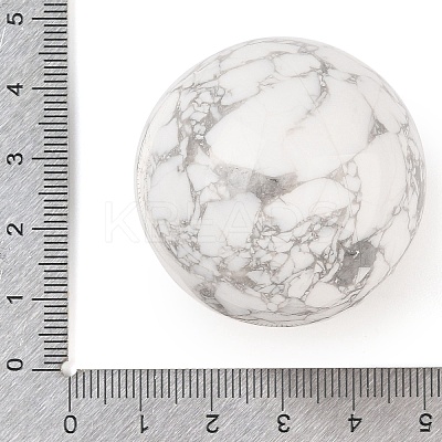 Natural Howlite Sphere Beads G-I367-07F-1