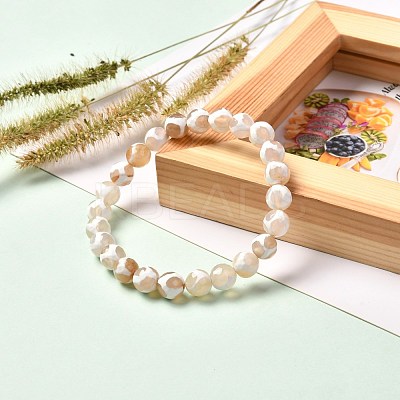 Tibetan Style Turtle Back Pattern dZi Natural Tibetan Agate Stretch Bracelet for Men Women BJEW-JB06716-1