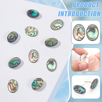 10Pcs Natural Paua Shell Cabochons FIND-BC0005-54-1