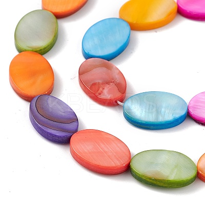 10 Strands Colorful Natural Freshwater Shell Dyed Beads Strands SHEL-M018-04-1