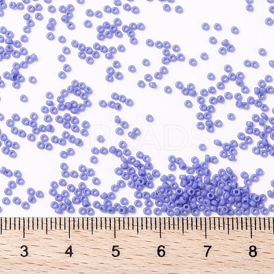 MIYUKI Round Rocailles Beads X-SEED-G009-RR0417L-1