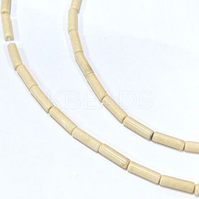 Natural Petrified Wood Beads Strands G-F247-49-1