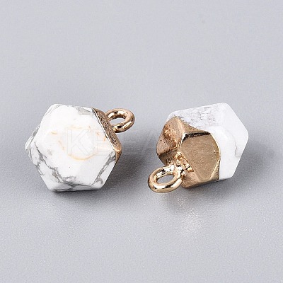 Natural Howlite Pendants G-N359-18G-14-1