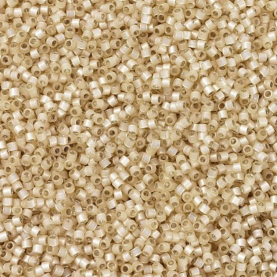 MIYUKI Delica Beads X-SEED-J020-DB0621-1
