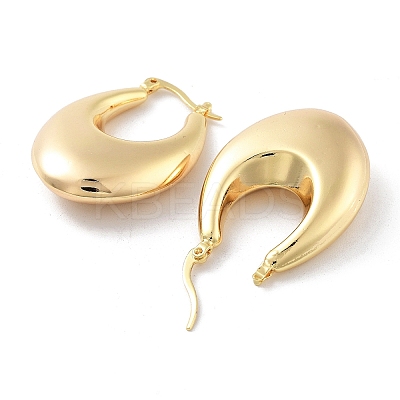 Brass Hoop Earrings EJEW-H301-02G-06-1