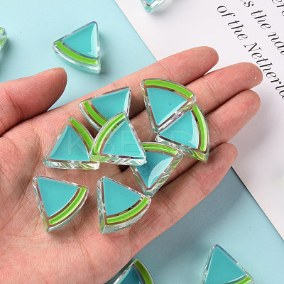 Transparent Enamel Acrylic Beads TACR-S155-001G-1