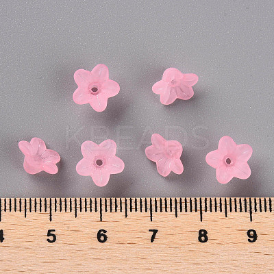 Transparent Acrylic Beads PL554-03-1