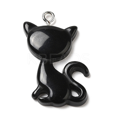 Opaque Resin Pendants RESI-G069-03A-1