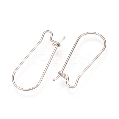 Tarnish Resistant 304 Stainless Steel Hoop Earrings Findings STAS-Q223-11D-1