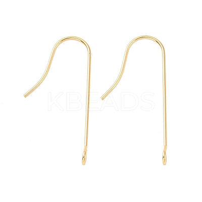 316 Surgical Stainless Steel Earring Hooks X-STAS-E027-01B-G-1