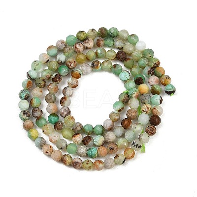 Natural Chrysoprase Beads Strands G-RM2025425-A01-3mm-1