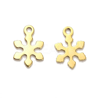304 Stainless Steel Charms STAS-L022-118G-1