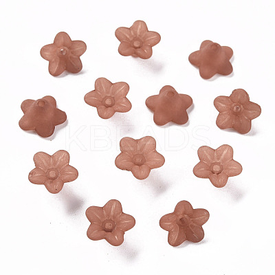 Transparent Acrylic Beads PL554-15-1