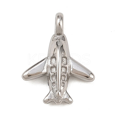 304 Stainless Steel Charms LS-STAS-I360-02P-1