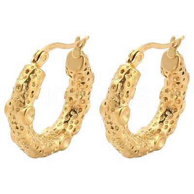 Iron Plating(IP) 304 Stainless Steel Hoop Earrings EJEW-K259-06G-1