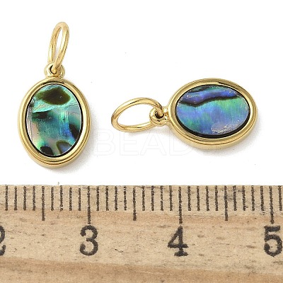 304 Stainless Steel Natural Paua Shell/White Shell Charms Ion Plating(IP) STAS-U037-03G-01-1